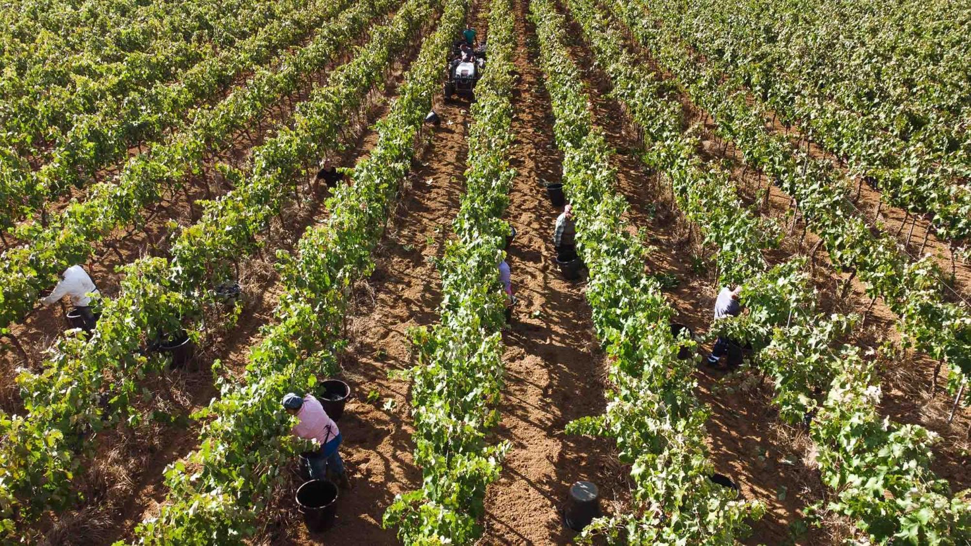 Tenuta Doxi Gallipoli Bagian luar foto