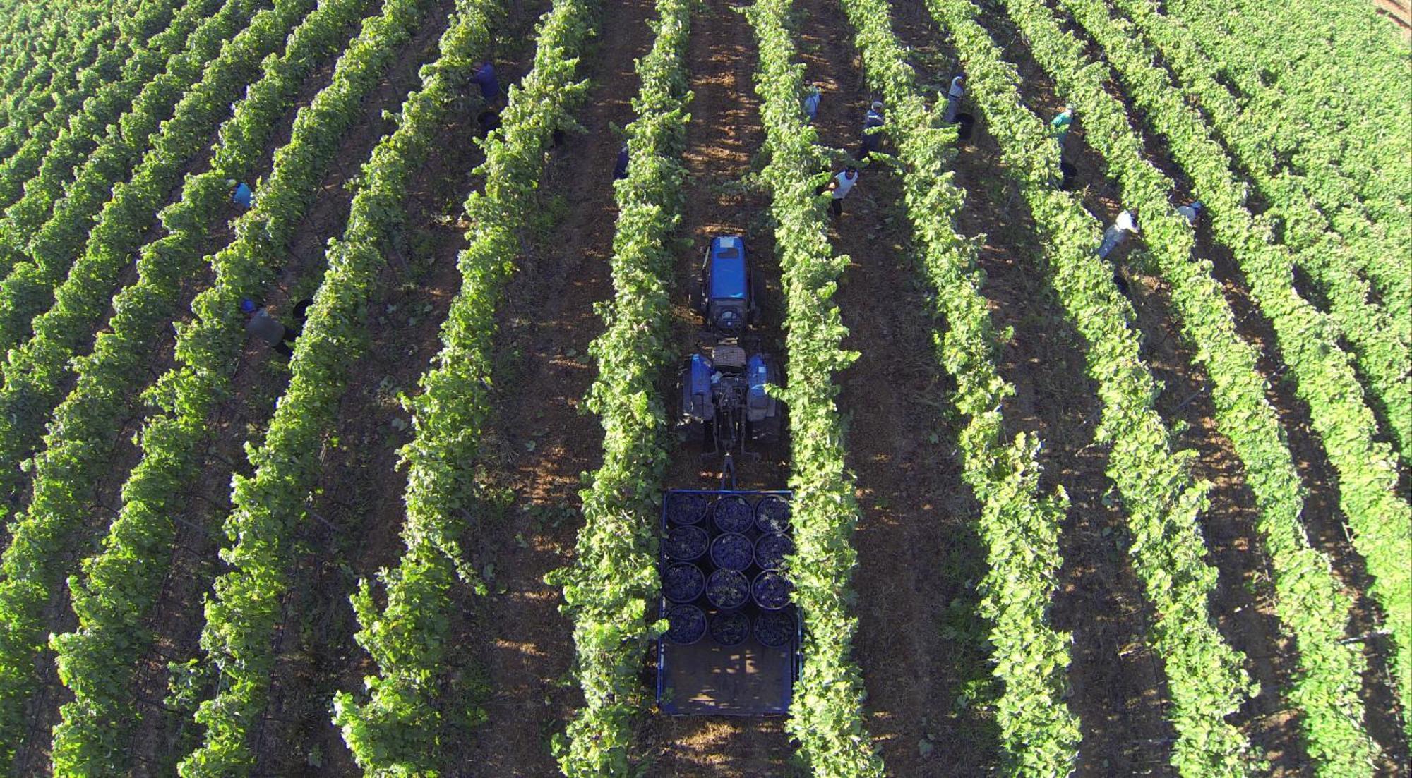 Tenuta Doxi Gallipoli Bagian luar foto